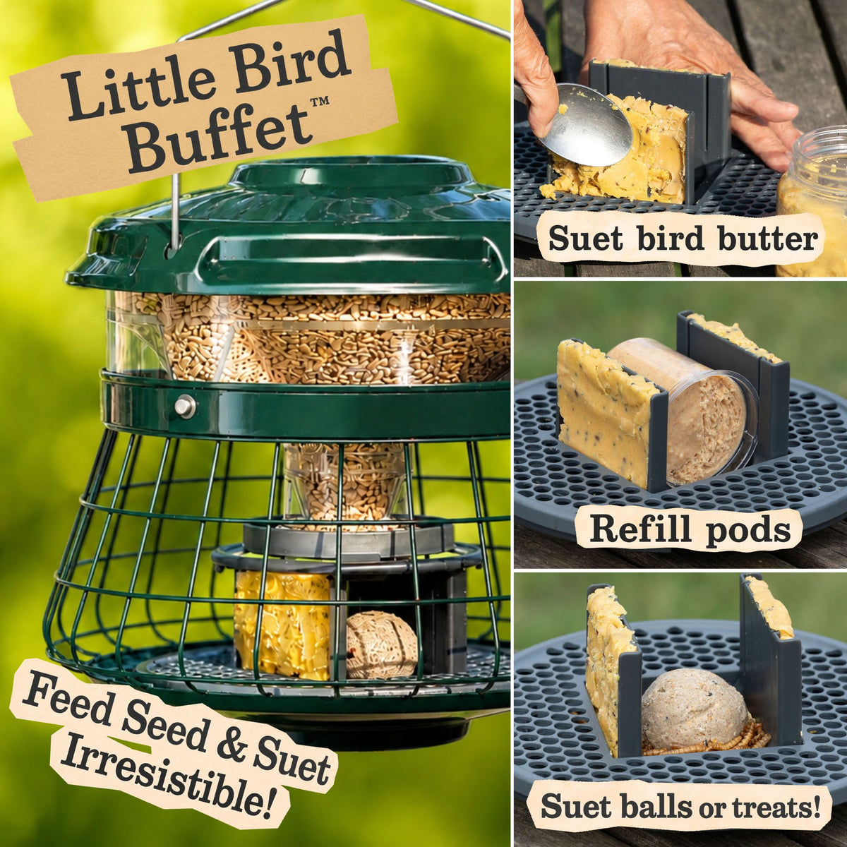 bird feeder that feeds seed and suet at one time