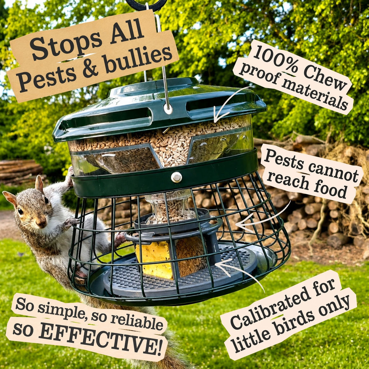 squirrel and rat proof chew proof wild bird feeder.
