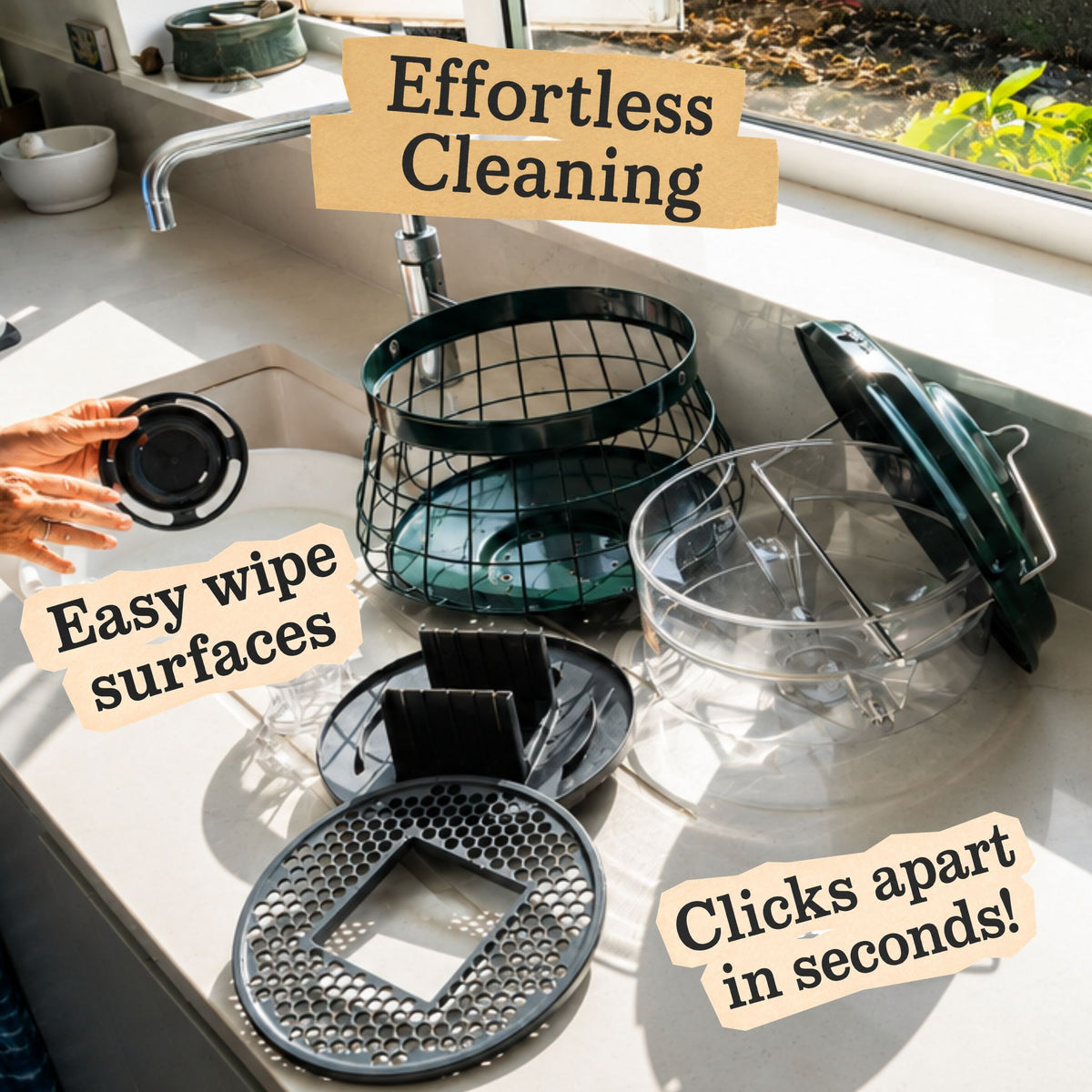 easy fast to clean bid feeder hygienic