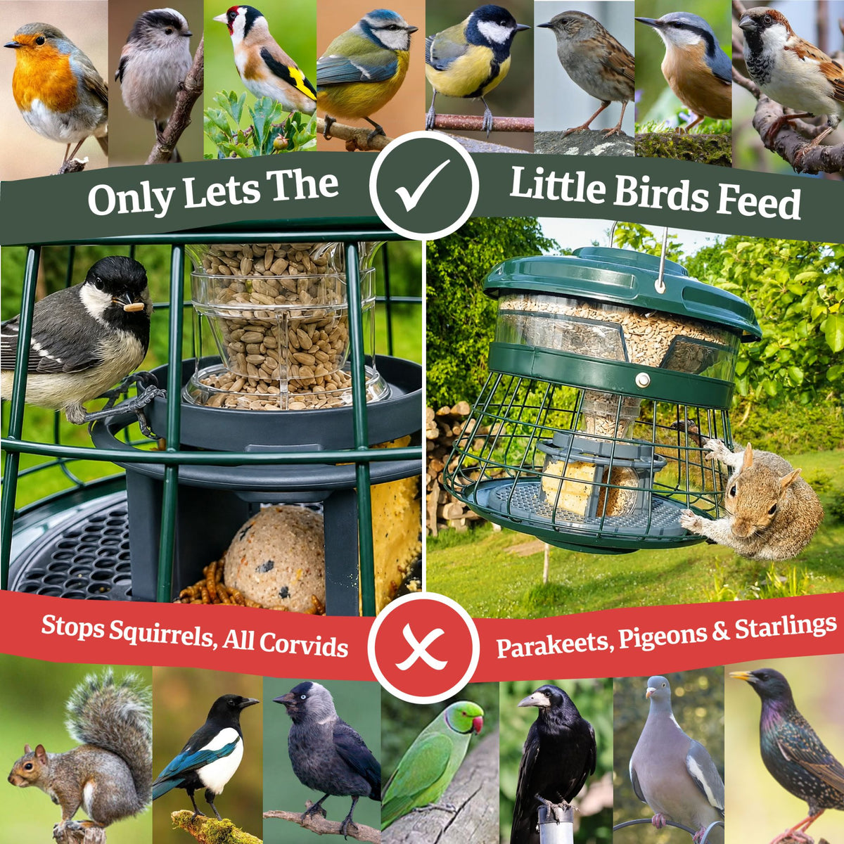 sky-hopper stops all pests UK bird feeder