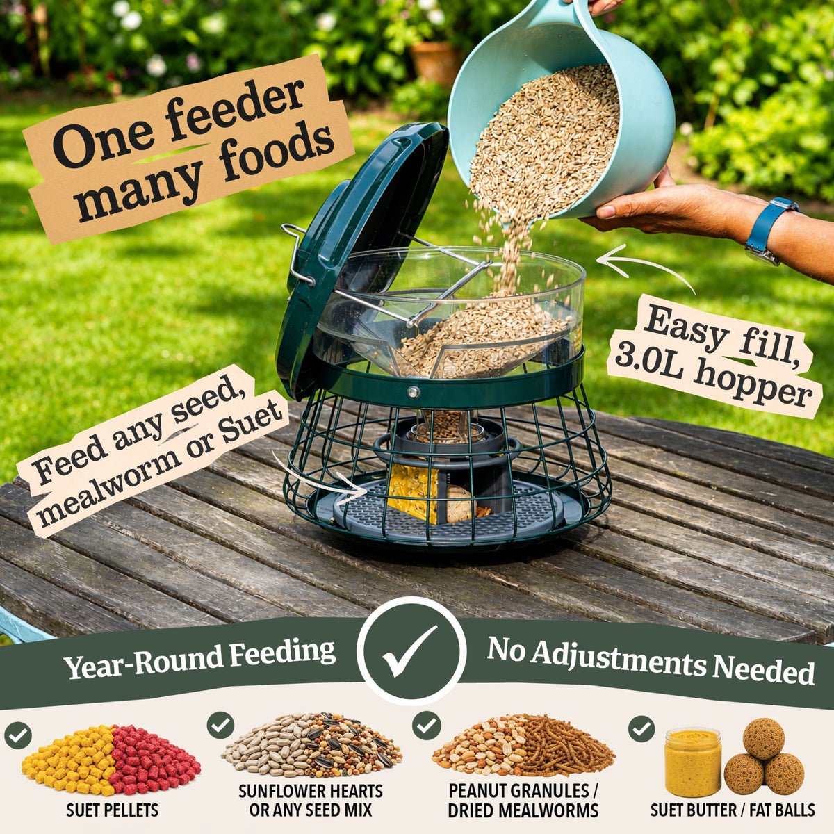 bird feeder that fees all types of seed
