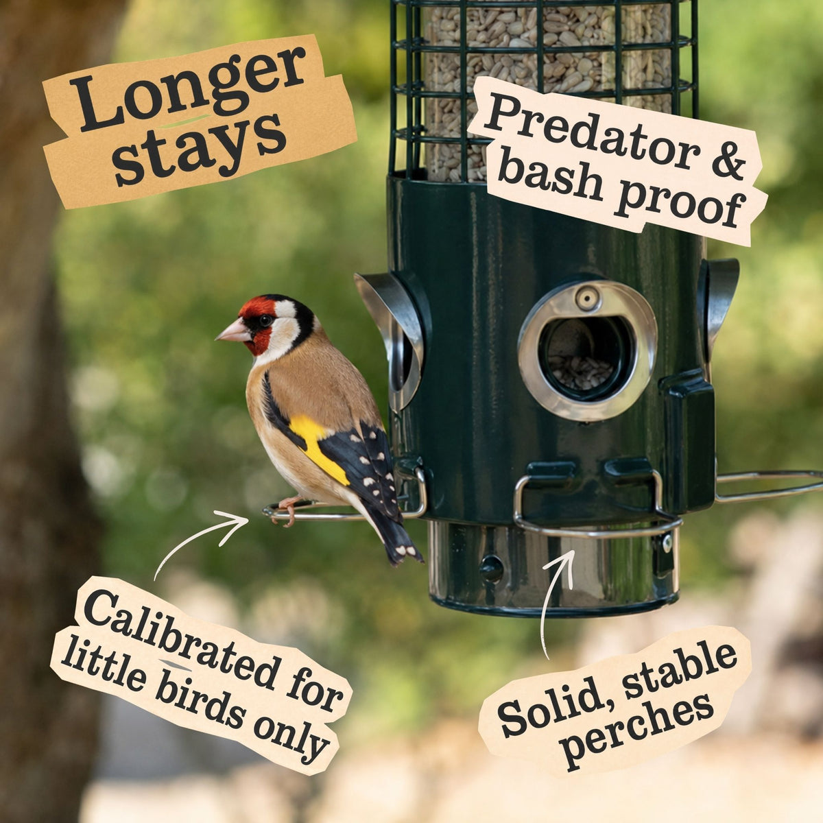 Sky-Tube bird feeder with stable perches, designed for small garden birds.