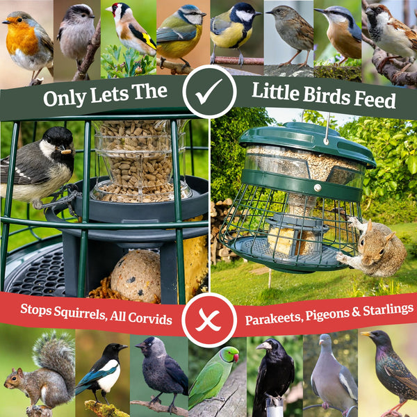SKY-HOPPER PRO Squirrel-Proof No-Mess Bird Feeder | Field & Wing