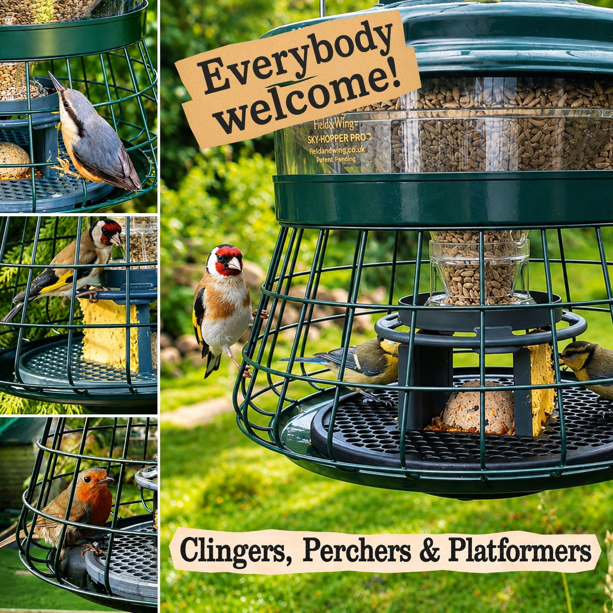 bird feeder that attracts many different species of garden birds